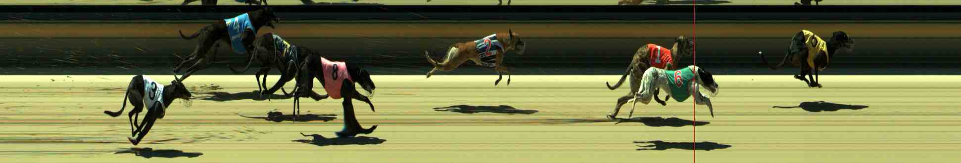 Photo finish for Sale Race 3