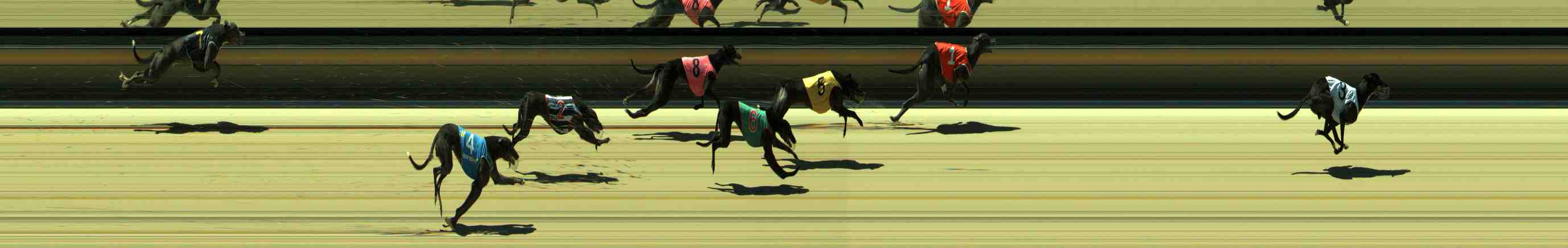 Photo finish for Sale Race 4