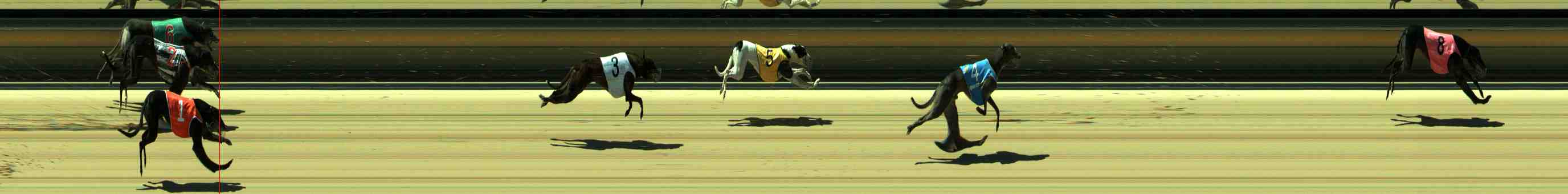 Photo finish for Sale Race 5