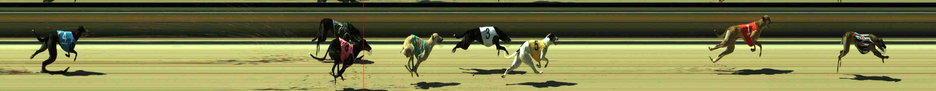 Photo finish for Sale Race 7