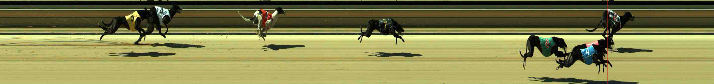 Photo finish for Sale Race 9