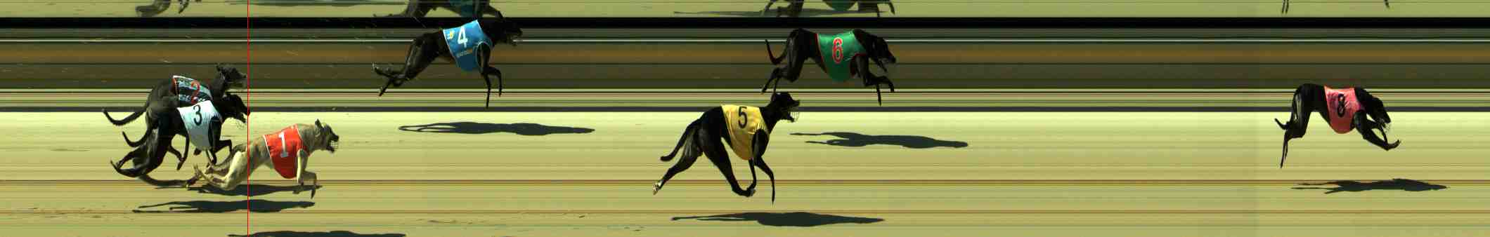 Photo finish for Sale Race 10