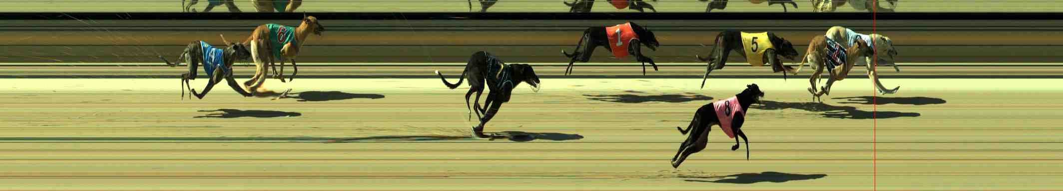 Photo finish for Sale Race 11