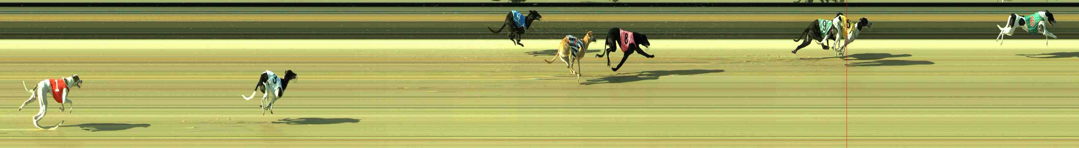 Photo finish for Sale Race 2