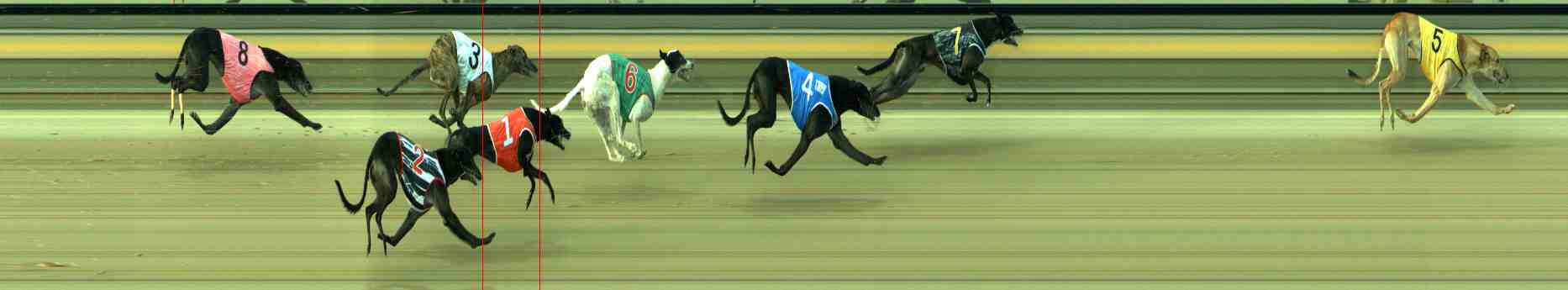 Photo finish for Sale Race 4