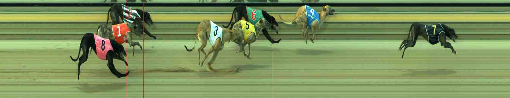 Photo finish for Sale Race 5