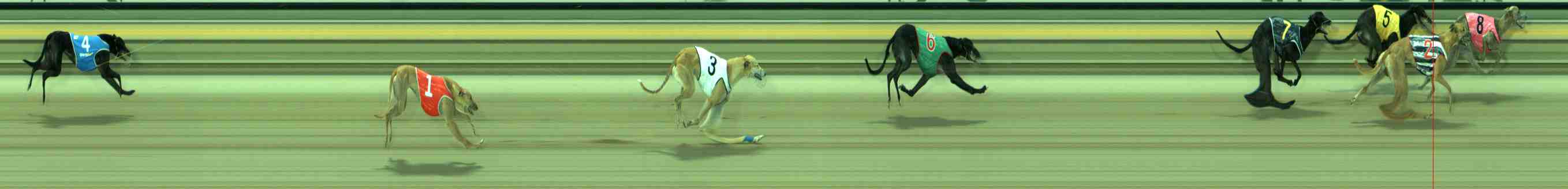 Photo finish for Sale Race 6