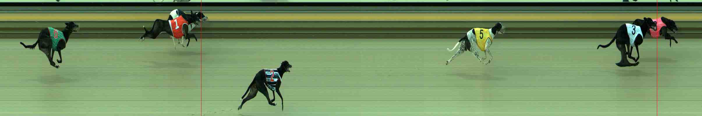 Photo finish for Sale Race 1