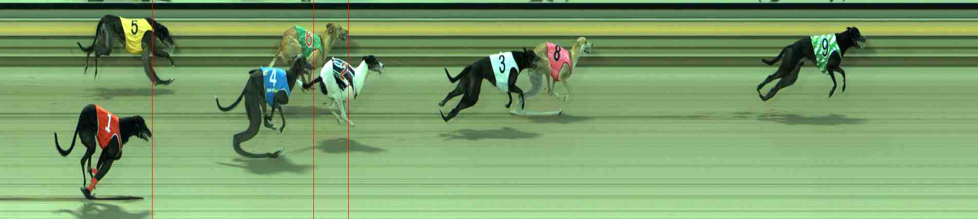 Photo finish for Sale Race 4