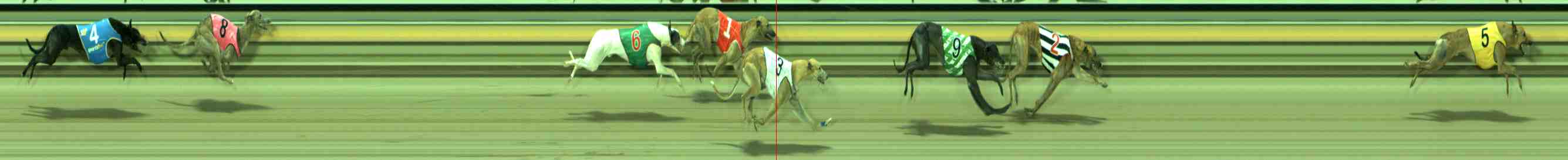 Photo finish for Sale Race 5