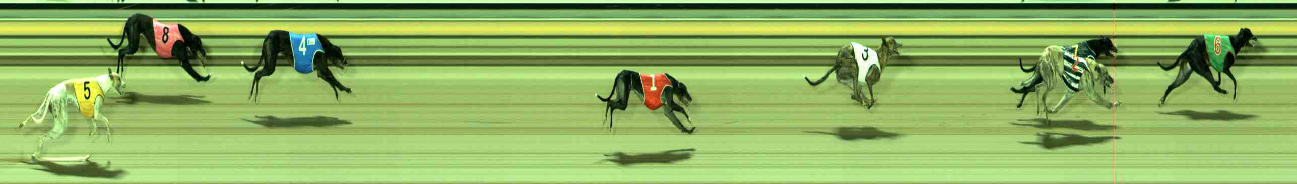 Photo finish for Sale Race 6