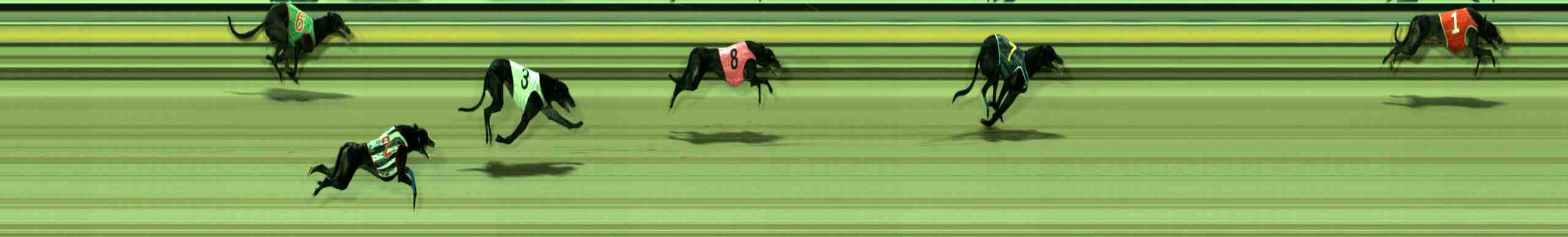 Photo finish for Sale Race 7