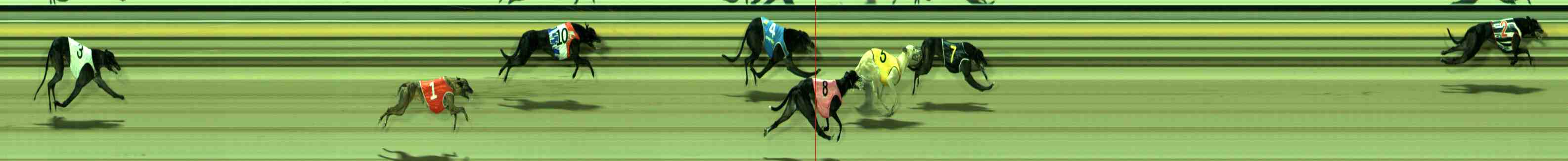 Photo finish for Sale Race 8