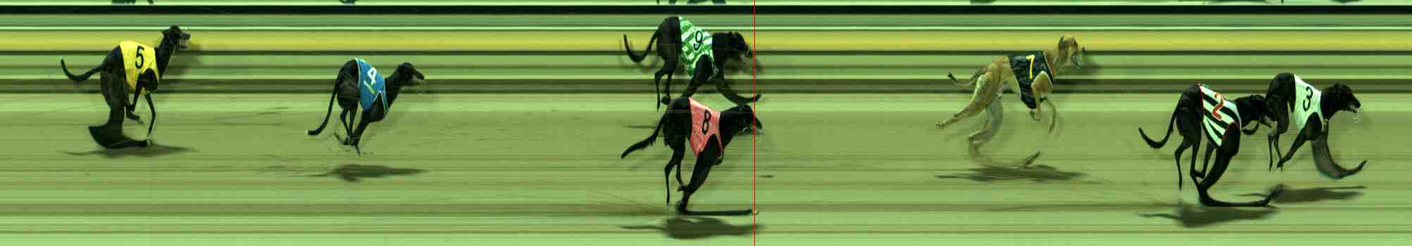 Photo finish for Sale Race 9