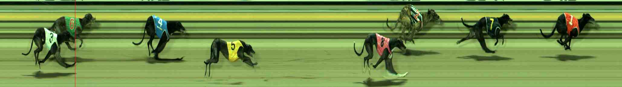 Photo finish for Sale Race 10