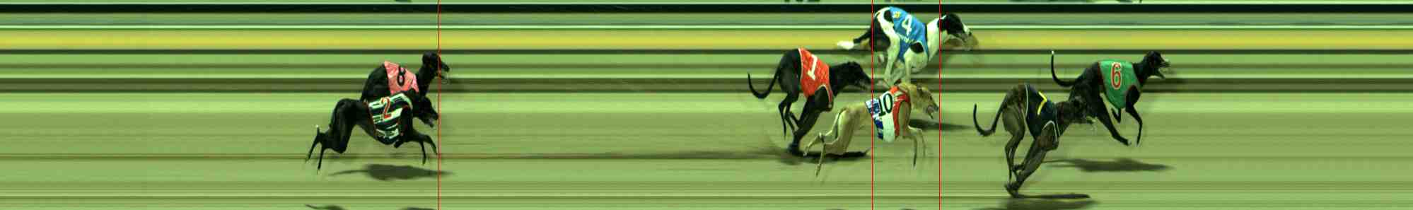 Photo finish for Sale Race 11