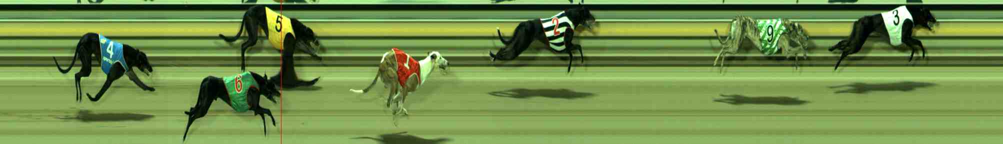 Photo finish for Sale Race 12