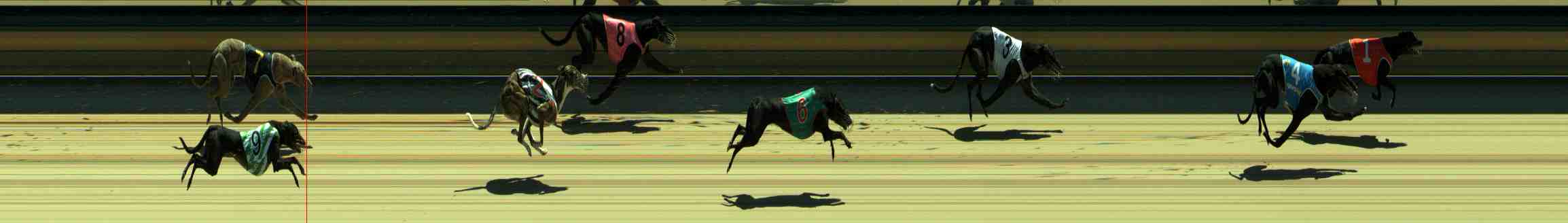 Photo finish for Sale Race 3