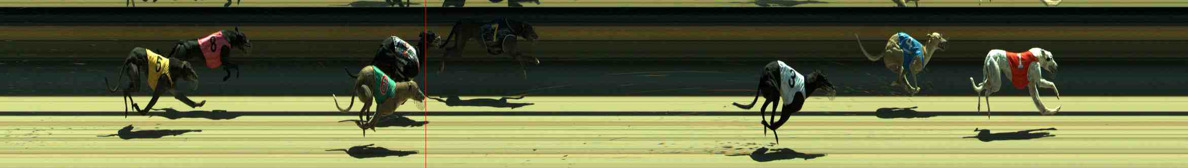 Photo finish for Sale Race 4