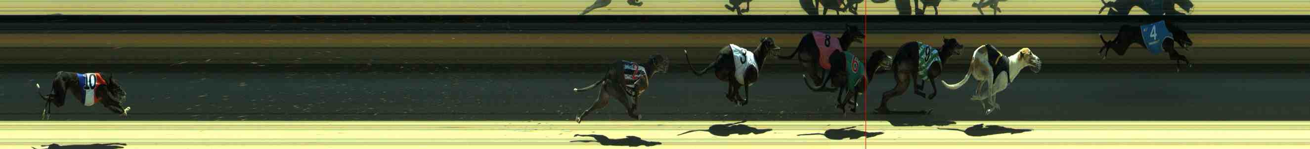 Photo finish for Sale Race 5