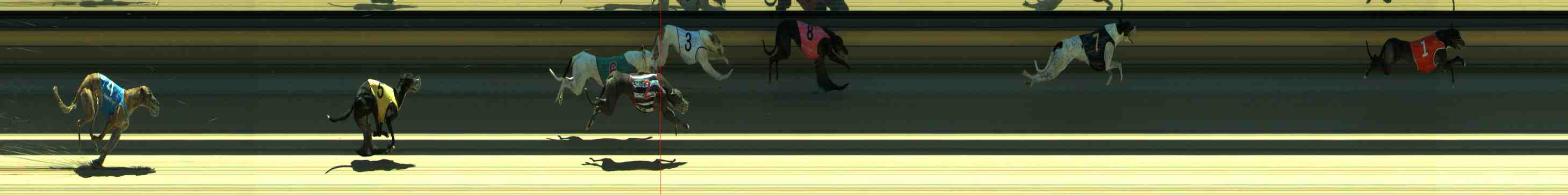 Photo finish for Sale Race 6