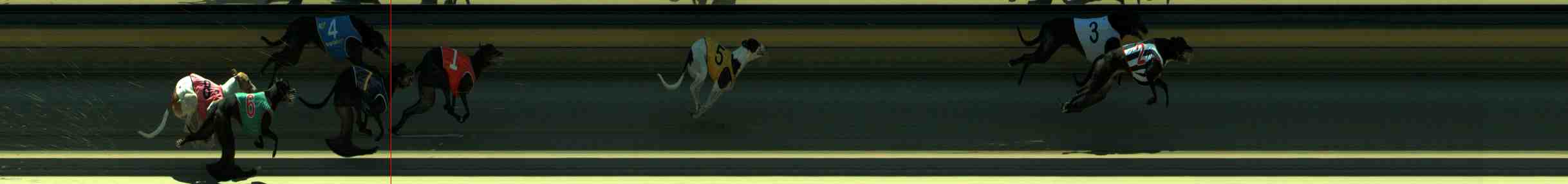 Photo finish for Sale Race 7