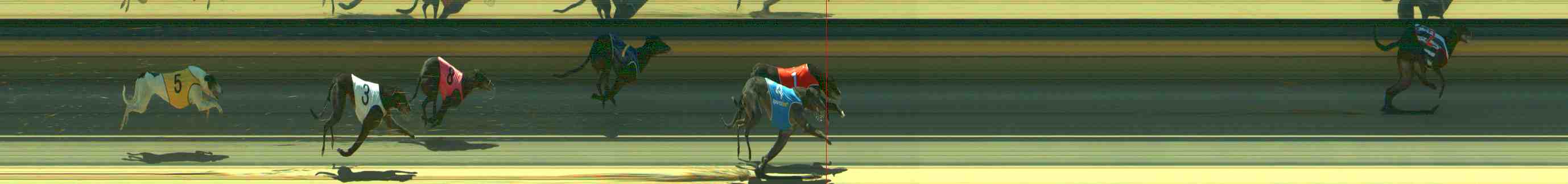 Photo finish for Sale Race 9