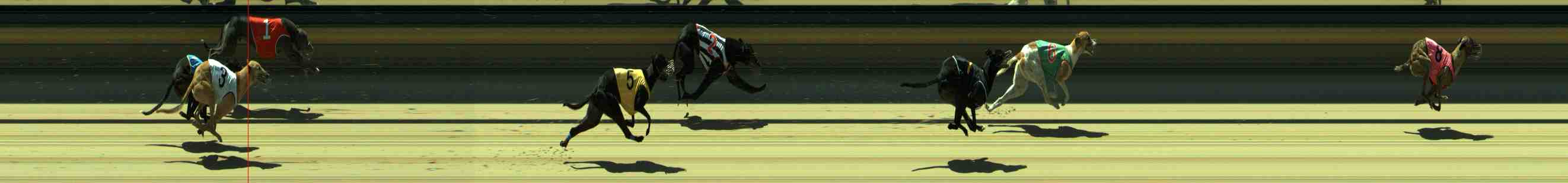 Photo finish for Sale Race 10