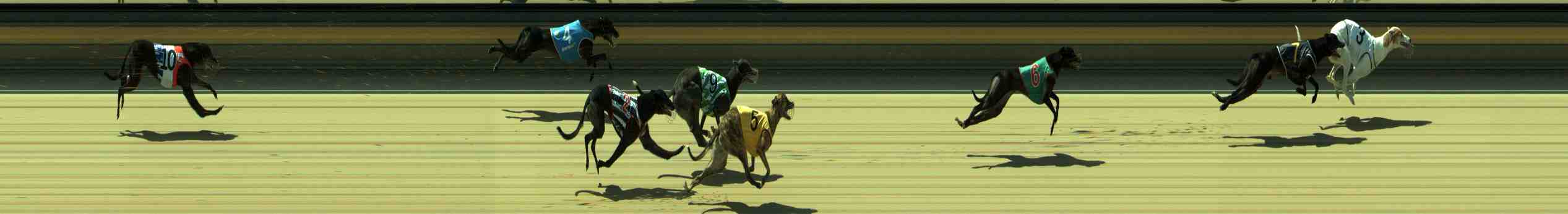 Photo finish for Sale Race 12
