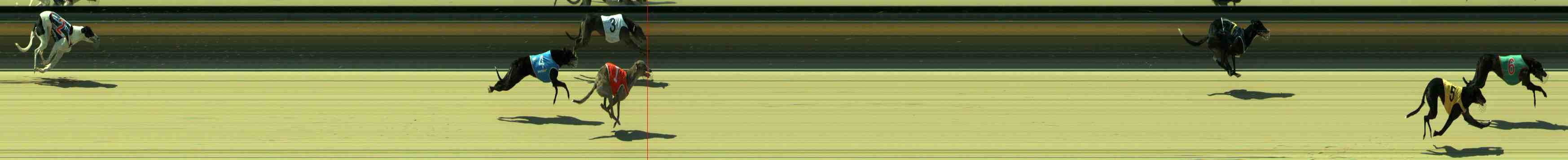 Photo finish for Sale Race 3