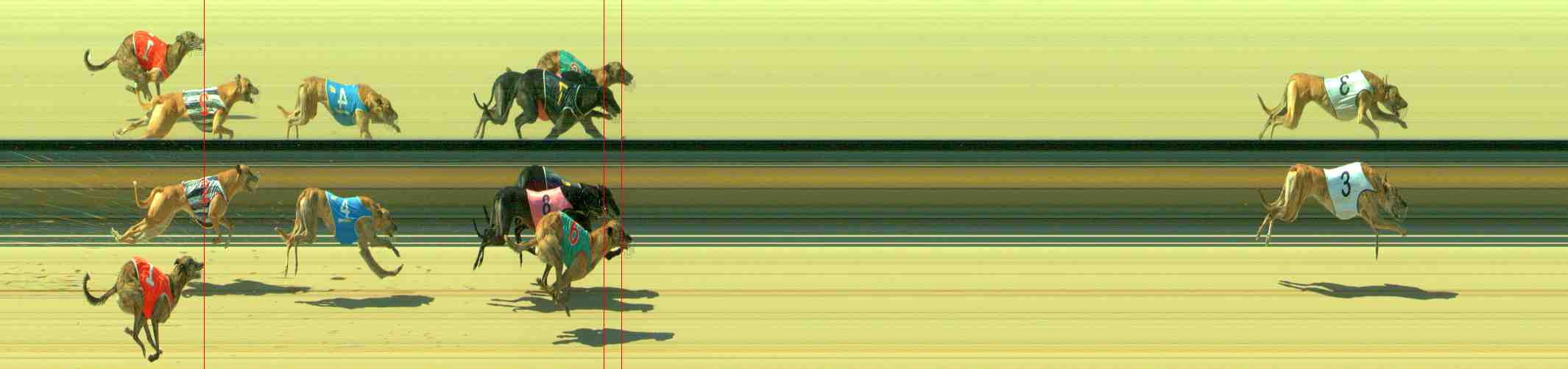 Photo finish for Sale Race 4