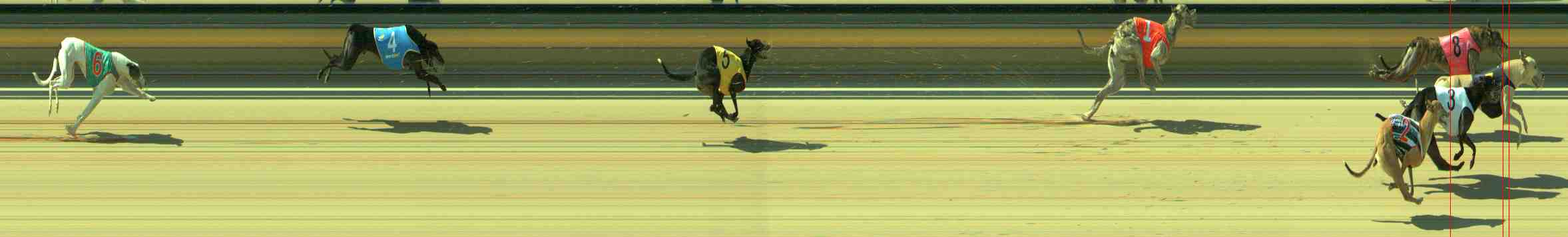 Photo finish for Sale Race 5