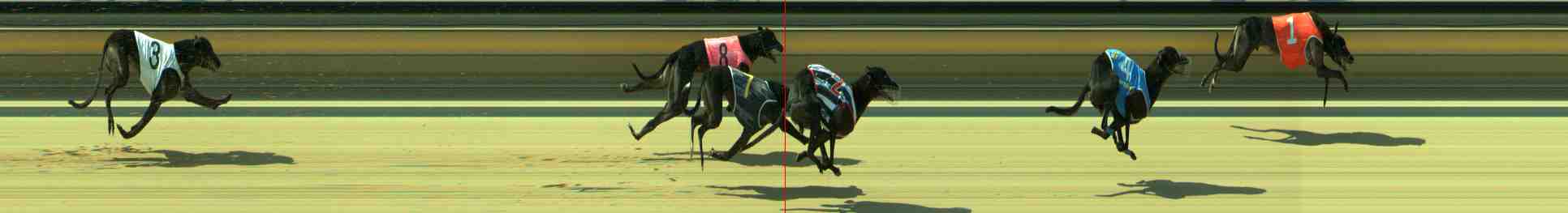 Photo finish for Sale Race 6