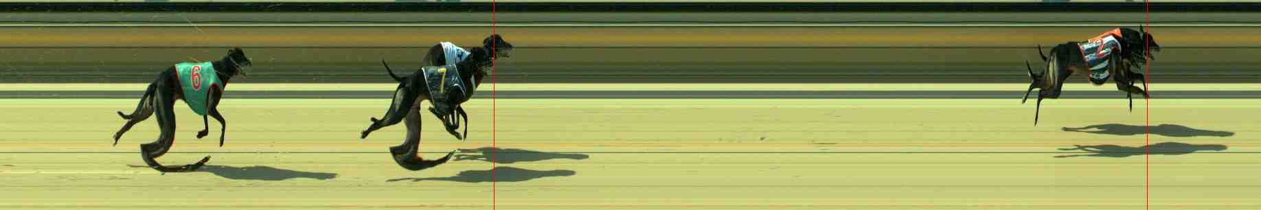 Photo finish for Sale Race 7