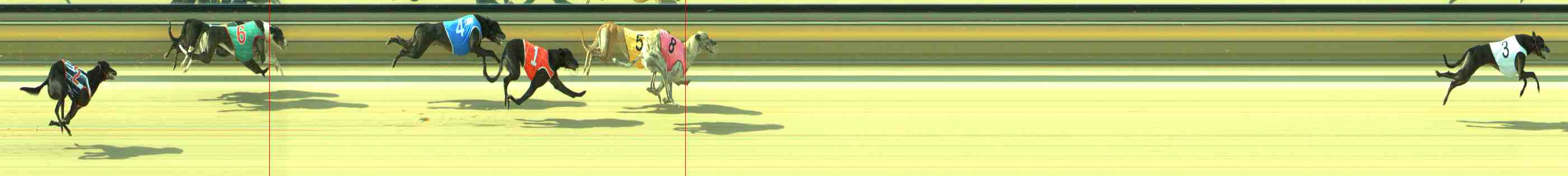 Photo finish for Sale Race 8