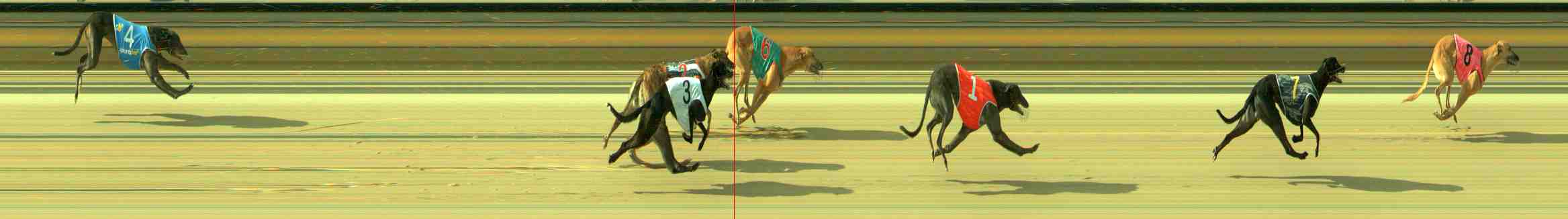 Photo finish for Sale Race 9