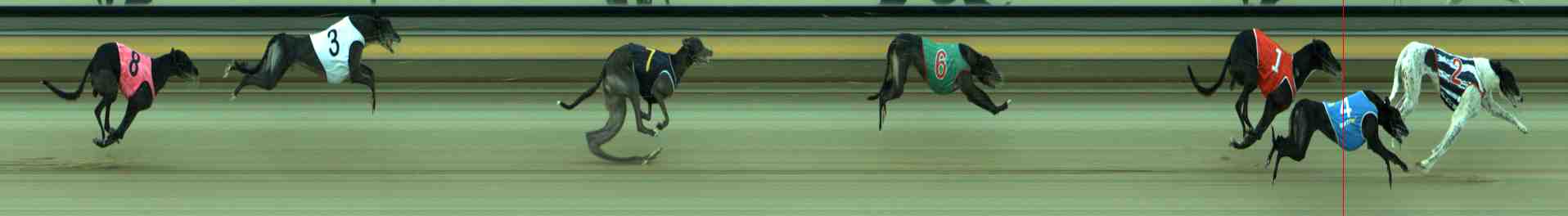 Photo finish for Sale Race 10