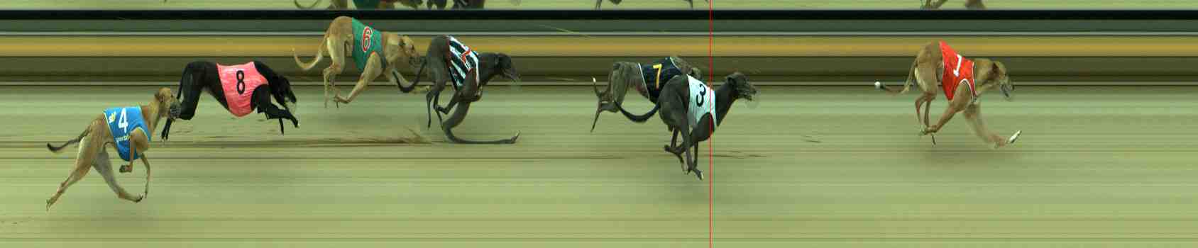Photo finish for Sale Race 11