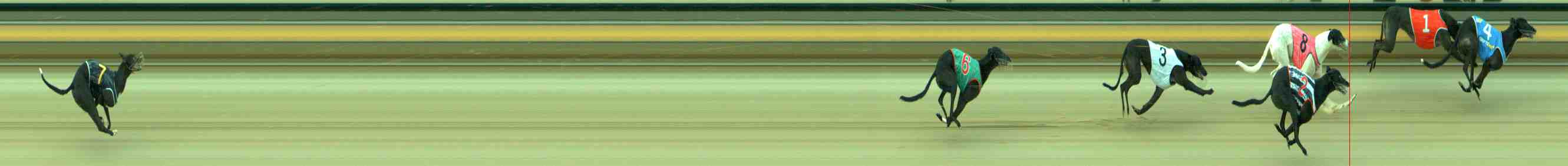 Photo finish for Sale Race 12