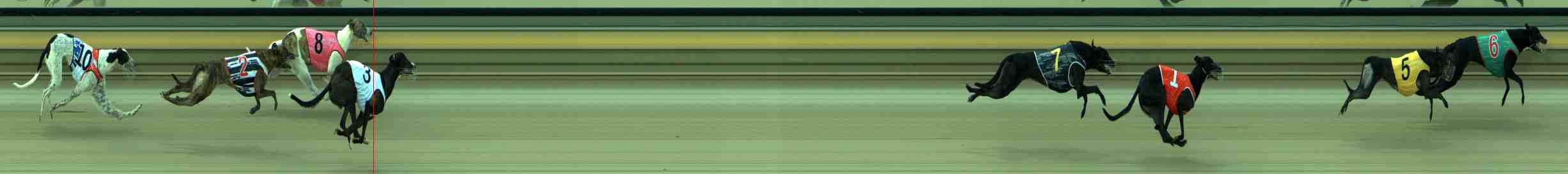 Photo finish for Sale Race 1