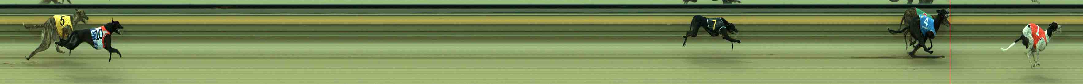 Photo finish for Sale Race 2