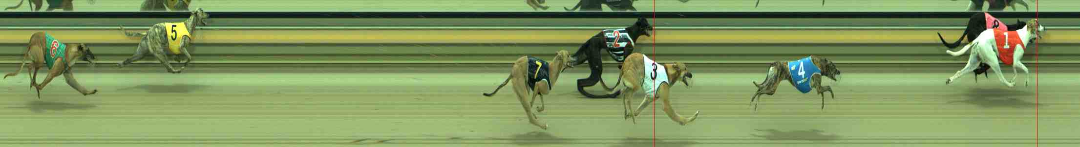 Photo finish for Sale Race 4