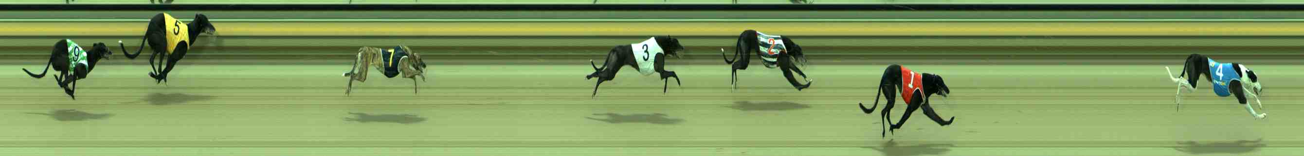 Photo finish for Sale Race 5