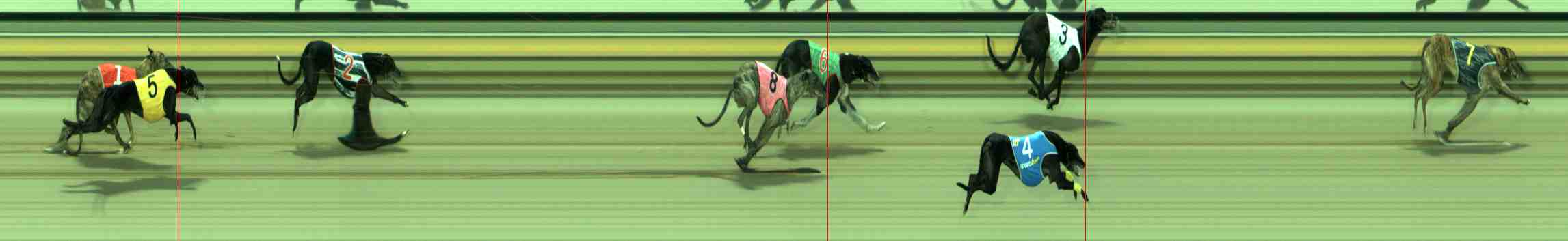 Photo finish for Sale Race 6