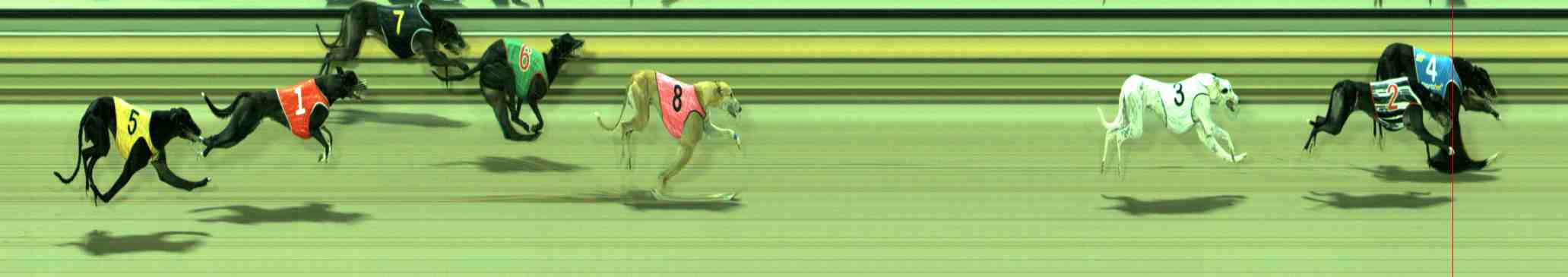 Photo finish for Sale Race 7