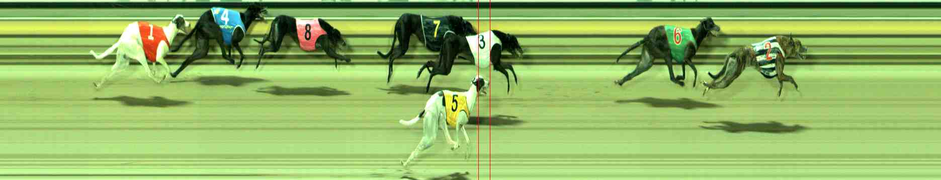 Photo finish for Sale Race 8