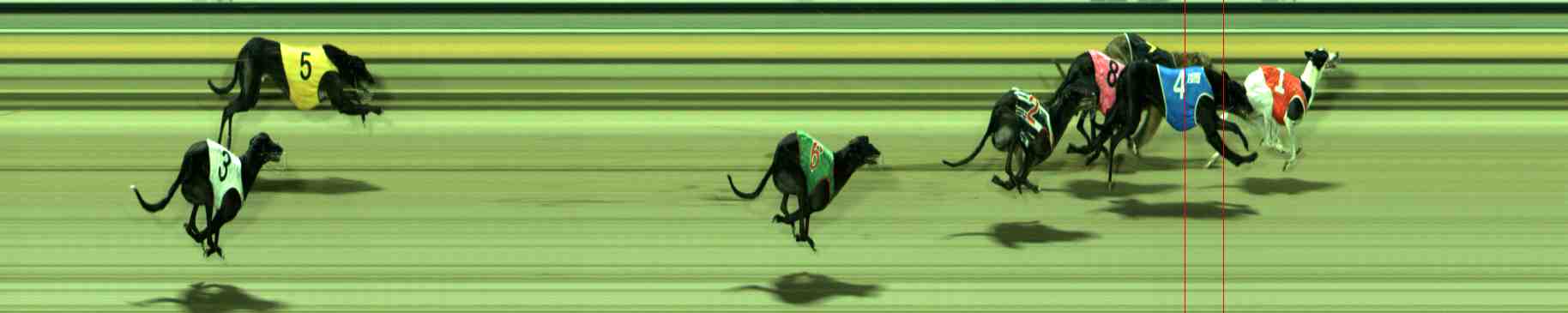 Photo finish for Sale Race 10