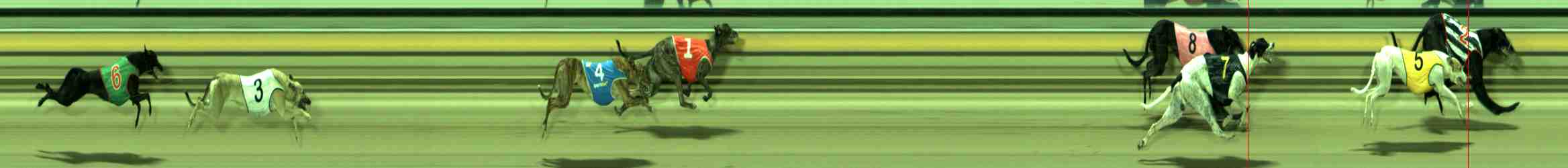 Photo finish for Sale Race 11