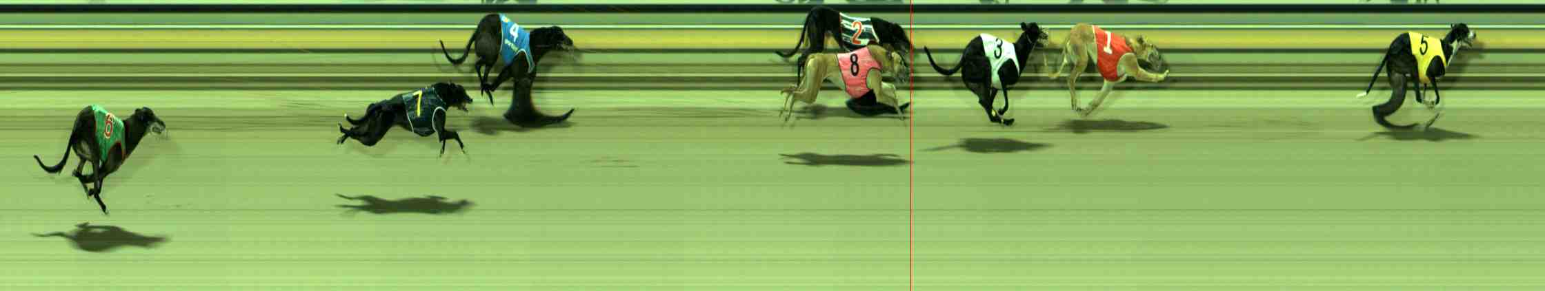 Photo finish for Sale Race 12