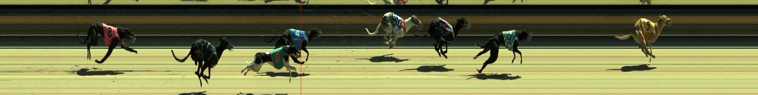 Photo finish for Sale Race 1